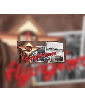 B-17 Flying Fortress: World War II Bombers in Action Steam Key GLOBAL